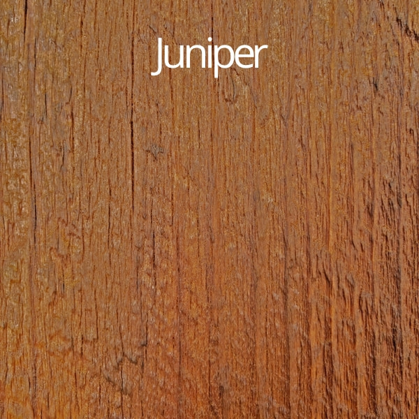 juniper