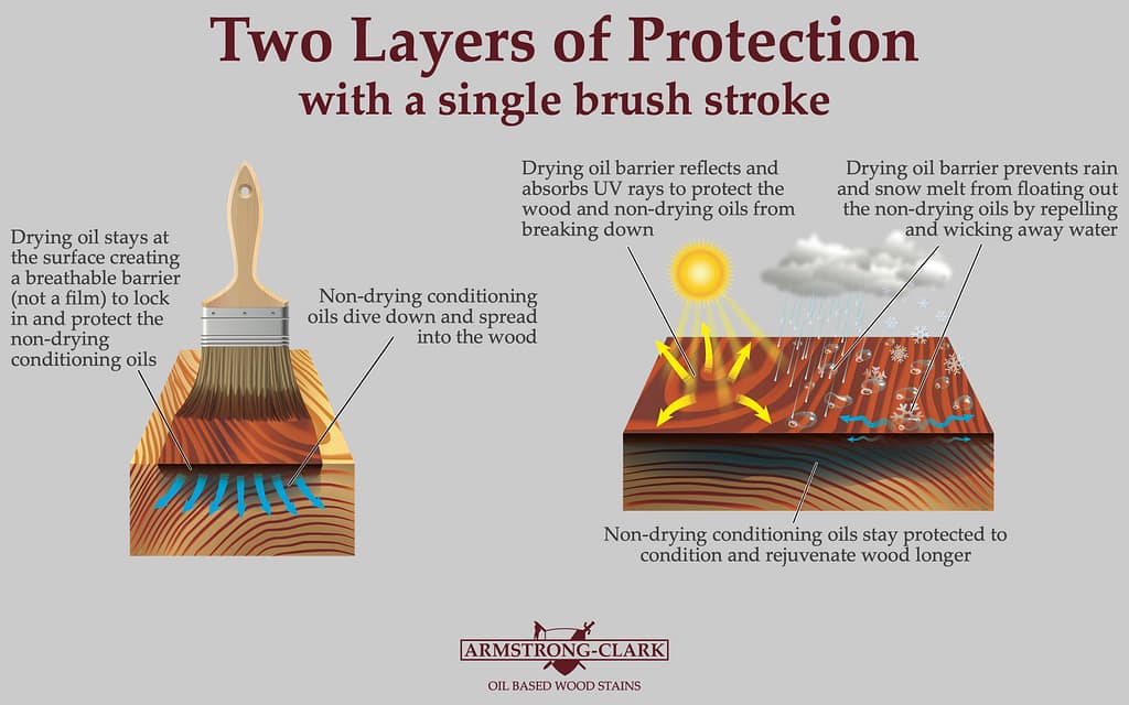 Illustration of how the Armstrong Clark stain works titled "Two Layers of Protection with a single brush stroke"