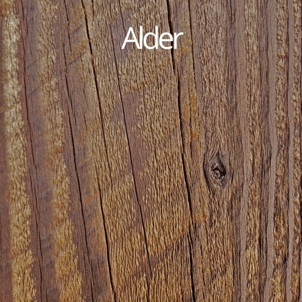 alder