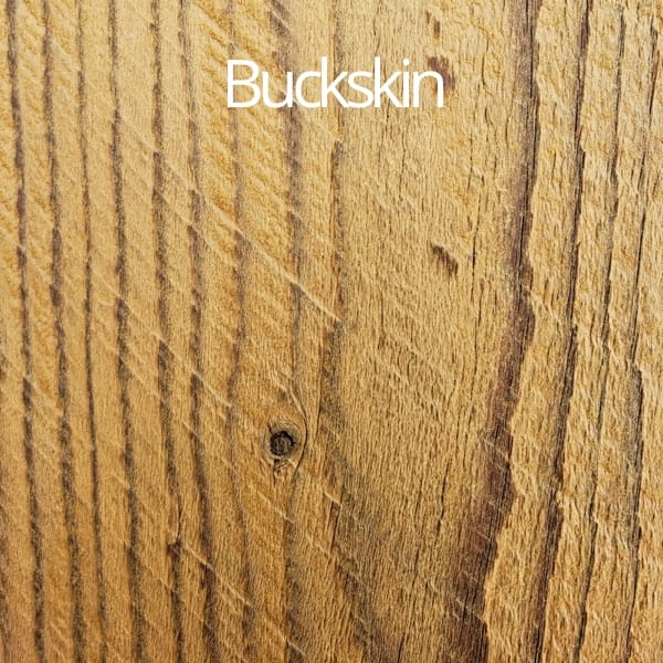 buckskin