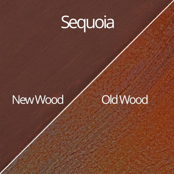 Sequoia