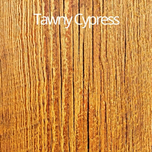 tawny cypress